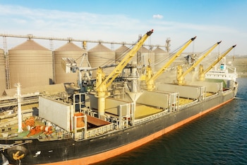 Los productos primarios concentraron el mayor volumen, con 48,6 millones de toneladas entre enero y julio, y sumaron 8,2 millones de toneladas respecto del mismo período de 2025, lo que representó un crecimiento interanual del 20% (Foto: Shutterstock)