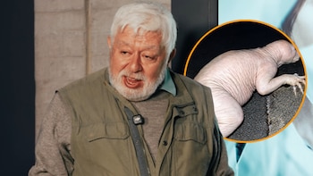 ¿Qué es el ser del Valle de Juárez? Jaime Maussan muestra imágenes de una extraña criatura en Chihuahua