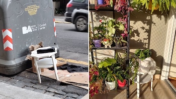 De la basura al balcón,