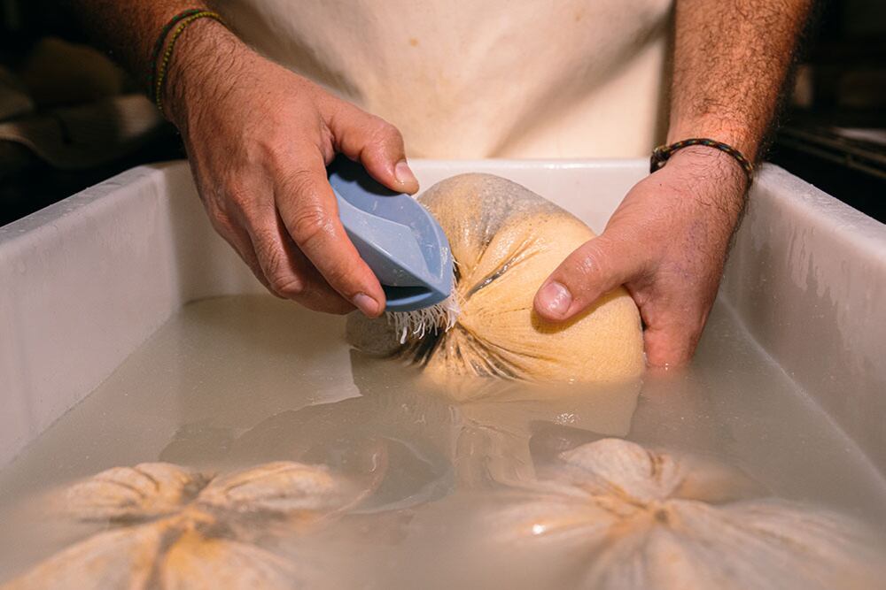 Proceso de elaboración del queso (Formatges Camps)