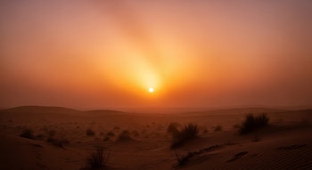 Puesta de sol naranja rojiza sobre un vasto paisaje desértico con dunas onduladas y vegetación escasa. El sol brillante aparece en el centro, proyectando rayos a través del aire difuso.