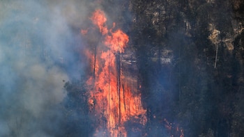 Ecuador lanzó una campaña para prevenir incendios forestales antes del inicio de la temporada de mayor riesgo