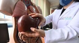 Científicos argentinos descubren que una molécula contra el cáncer da notables resultados contra la hepatitis fulminante