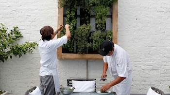 Dos chefs, uno recolectando hierbas de un jardín vertical y otro cortándolas en un plato sobre una mesa, contra una pared de ladrillo blanco.