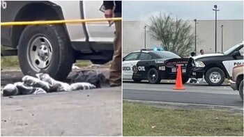 Las bolsas con restos humanos