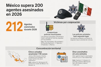(Fuente: Causa en Común | Infografía: Infobae México)