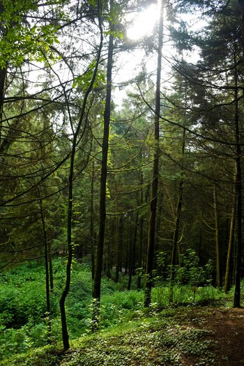 Foto: X: @turismocdmx