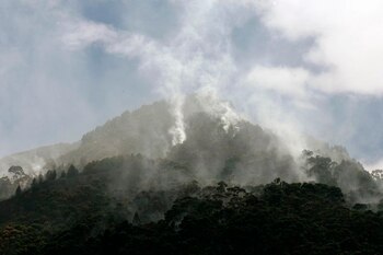 Esa entidad registró 13.123 alertas