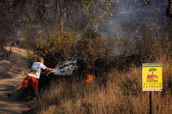 Un vecino intenta apagar una zona en llamas en la localidad de Calonge este sábado tras el incendio forestal que comenzó ayer en La Bisbal de l'Empordà (Girona). (David Borrat/EFE)