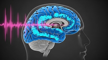 Qué es la habituación, el