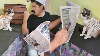 Una persona y sus tres