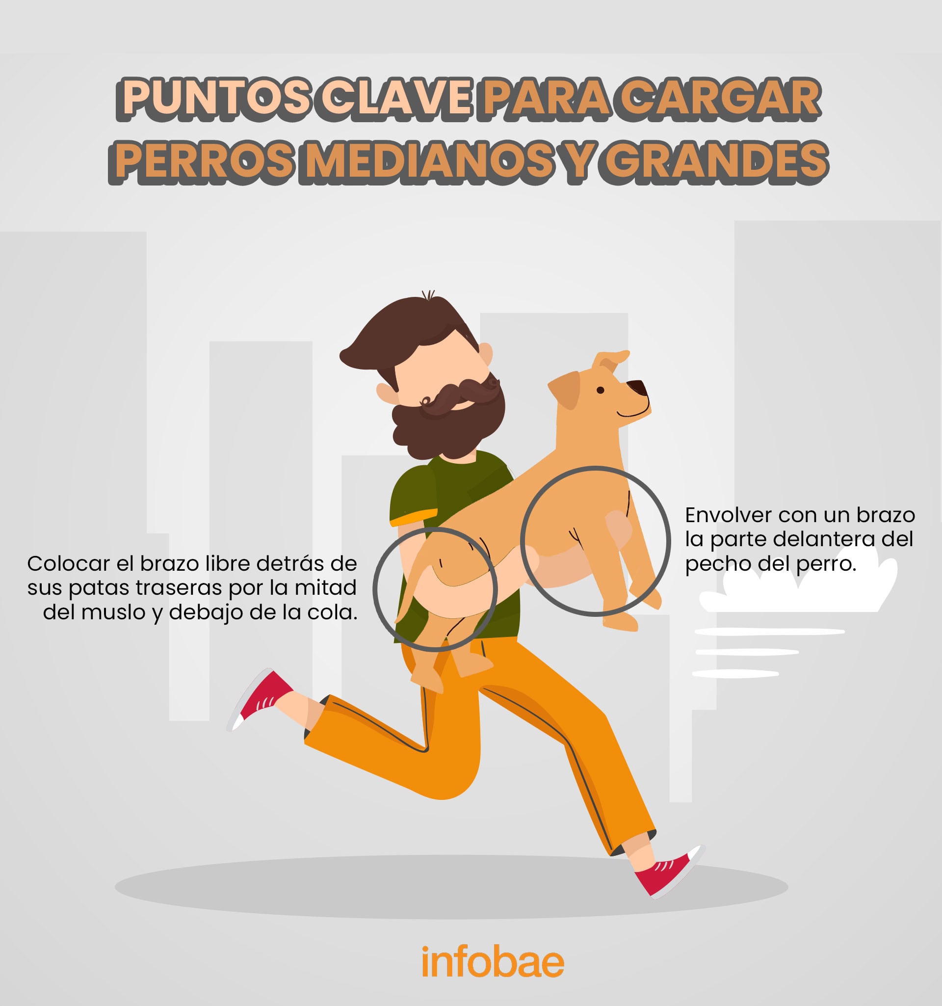 Estos son algunos de los puntos clave que se deben tener en cuenta a la hora de cargar perros. (Infobae/Jovani Pérez)