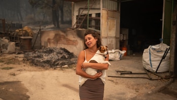 Los incendios forestales que arrasan España tendrán un impacto "enorme y descomunal" en la naturaleza, según ONG