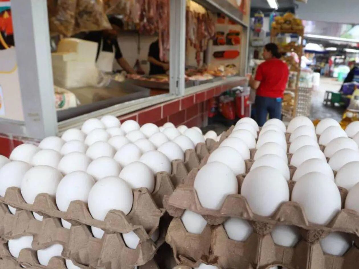 Parte de las aves de reemplazo debe importarse, lo que expone costos al comportamiento del dólar. (FOTO: La Tribuna)