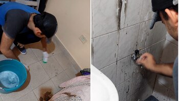 Su amigo limpió todo el