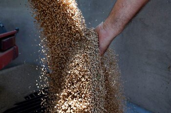 Con la nueva medida, se