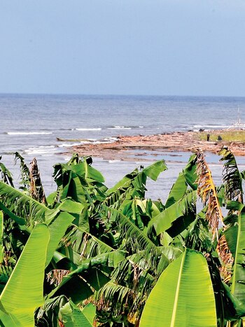Urabá es una zona de