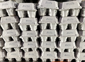 El retiro de huevos en Estados Unidos abarcó productos de cáscara blanca y marrón de gallinas criadas en libertad elaborados entre el 6 de junio y el 3 de julio de 2026 (REUTERS/Jim Vondruska/File Photo)