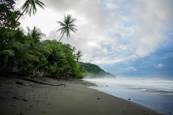 El clima, la vegetación y