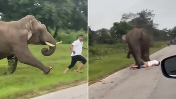 Sufrió un brutal ataque de