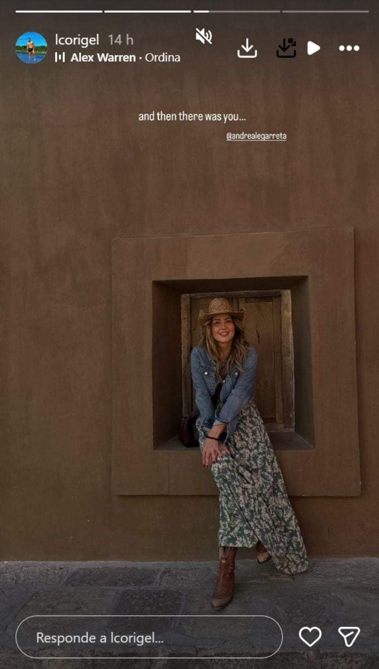 Luis Carlos Origel declara que su vínculo con Andrea Legarreta se basa en la madurez y la búsqueda de una relación sana y estable.(Captura de pantalla Andrea Legarreta)