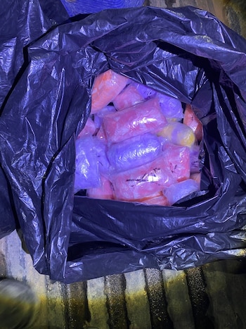 Parte de las sustancias incautadas