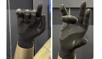 Mide unos 1,73 metros, pesa