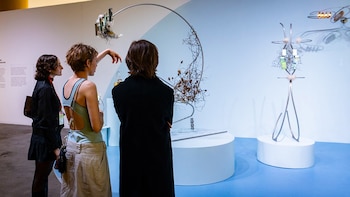 arteba 2026