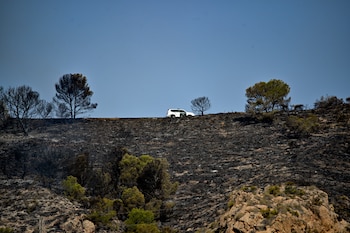 Vista del área calcinada en el municipio almeriense de Los Gallardos. (Carlos Barba/EFE)