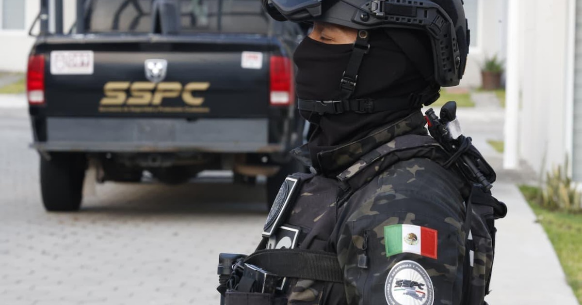 Cuatro ametralladoras antiaéreas y 275 mil cartuchos: el arsenal que el Ejército halló en una casa de Sonora