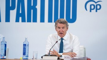 Feijóo plantea una reforma legal