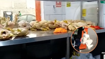 Paviferias de Lima lucen abarrotadas