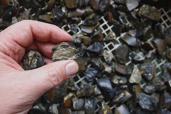 Uno de los datos más relevantes del informe es el nivel de exposición que enfrentan ciertas materias primas clave para la industria y la transición energética (Foto: Shutterstock)