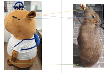 Análisis del Indecopi: el disfraz