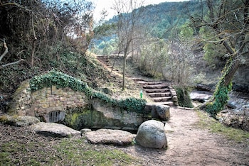 Font del Rector de Mura. (Ayto. Mura)