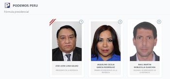 Lista de vicepresidentes en Perú 2026: estos son los acompañantes de cada candidato: Captura: ONPE.