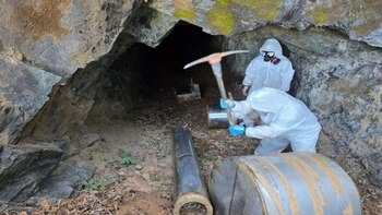 Golpe millonario al narco: aseguran