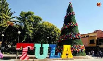 En Tula, un árbol fue