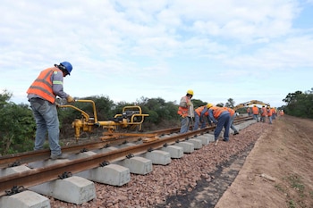 Según el relevamiento de una asociación de productores del norte argentino, en el área de influencia del ramal C15 se generan anualmente más de 1,8 millones de toneladas de granos, azúcar, papel y derivados, además de 252 millones de litros de alcohol y bioetanol (Foto: Trenes Argentinos Infraestructura)