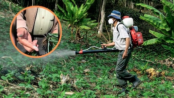 “Si tiene esta mancha azul,