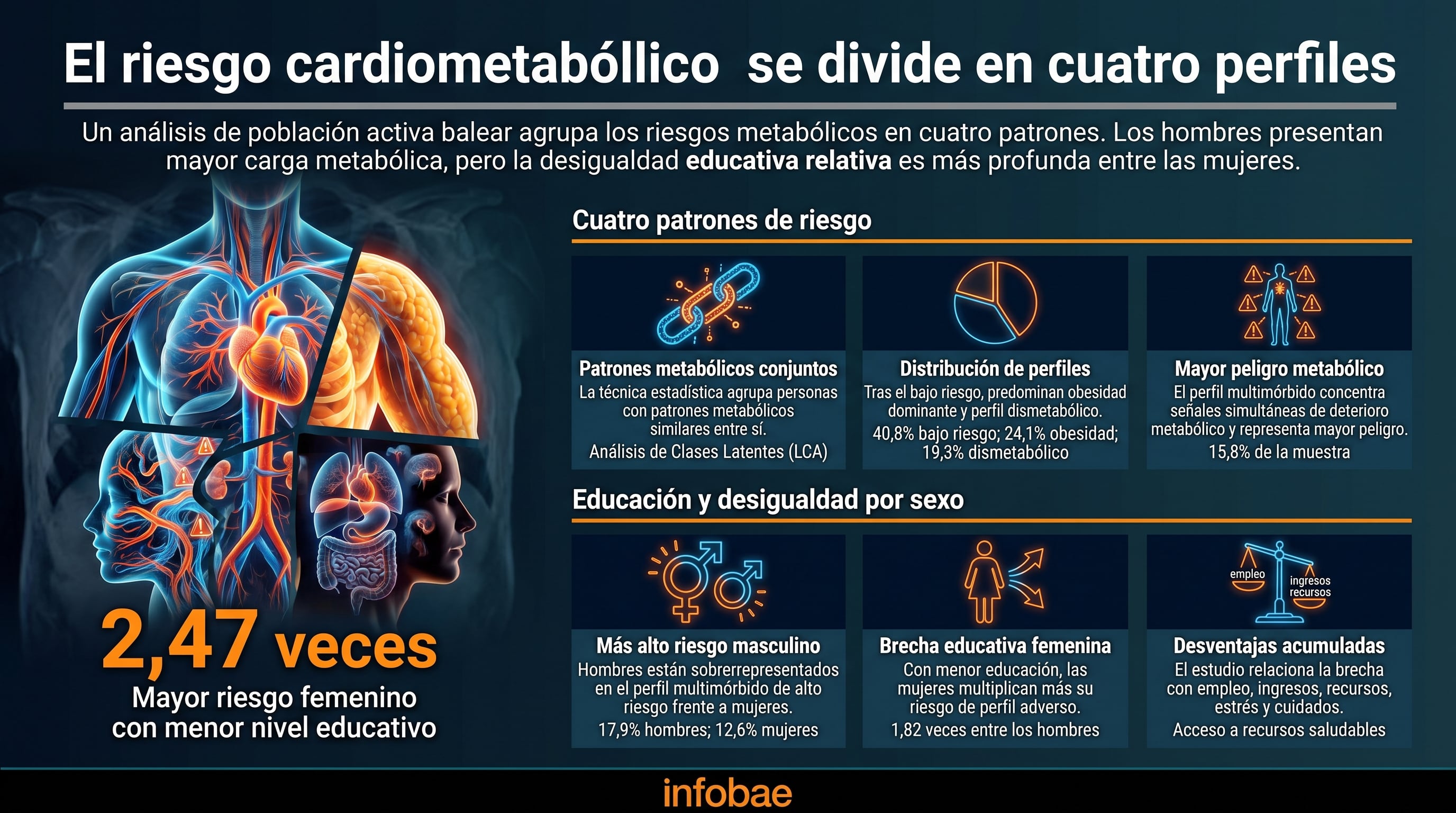 Una infografía de Infobae detalla los cuatro perfiles de riesgo cardiometabólico y la desigualdad educativa por sexo en la población activa de las Islas Baleares. (Imagen Ilustrativa Infobae)