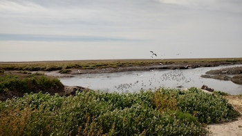 El equipo del Conicet y