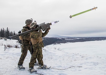 FIM-92 Stinger (Foto: Twitter@INDOPACOM)