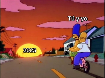 Así manifestaron los internautas su