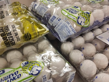 En una imagen proporcionada por