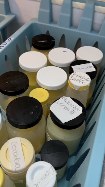 El Hospital Escuela atiende hasta 60 recién nacidos al mismo tiempo, cada uno con un requerimiento diario cercano a ocho onzas de leche materna.