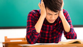 Tenemos el mismo sistema educativo