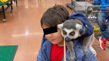 Captura de una ida al supermercado de la familia de Camilo en compañía del lémur. (Captura: Youtube)