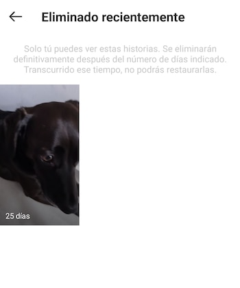 Se puede acceder a contenido