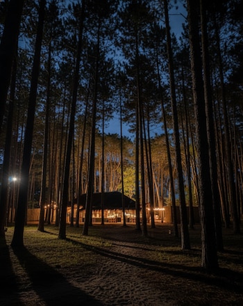 Soto Bosque ofrece una experiencia